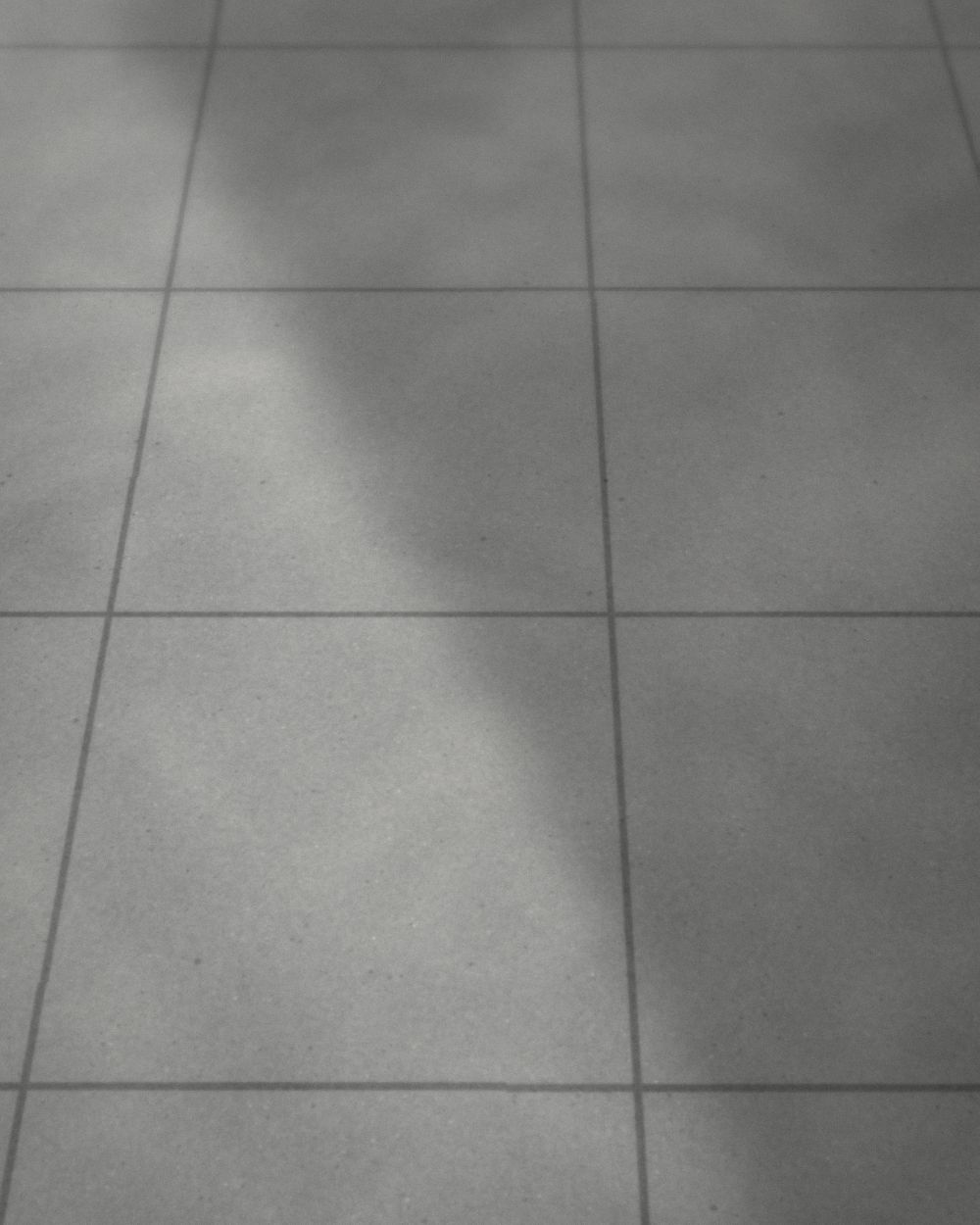 Freshly finished concrete slab with saw cut control joints